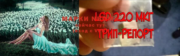 ALPHA PVP Магас