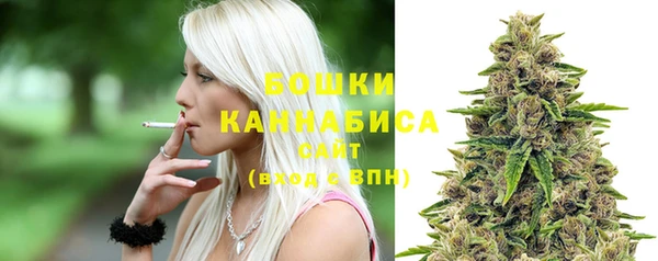 шишки Майский