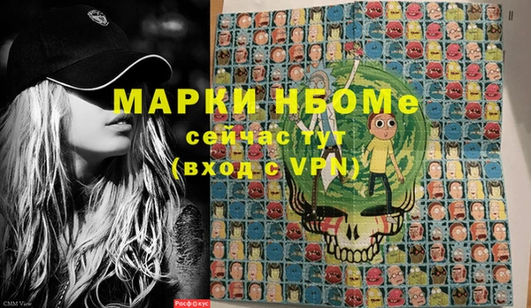 шишки Майский