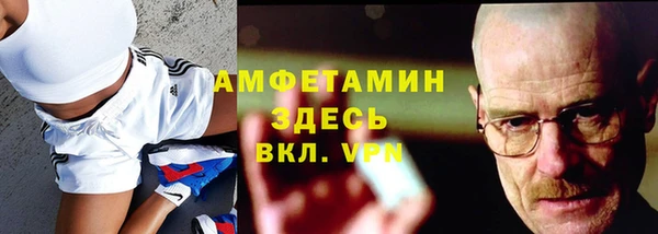 шишки Майский