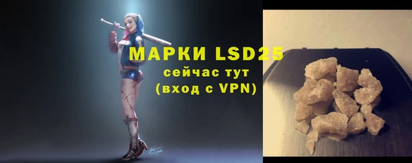 шишки Майский