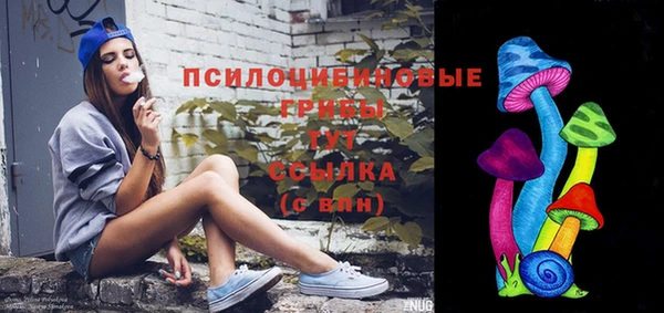 мдпв Магадан