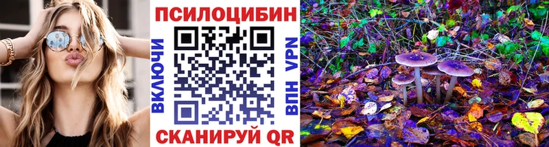 ссылка на мегу зеркало  Тихорецк  Псилоцибиновые грибы Magic Shrooms 